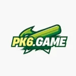 PK6 Game